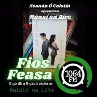 Seanán Ó Coistín ag déanamh léirmheas ar "Rúnaí an Aire"