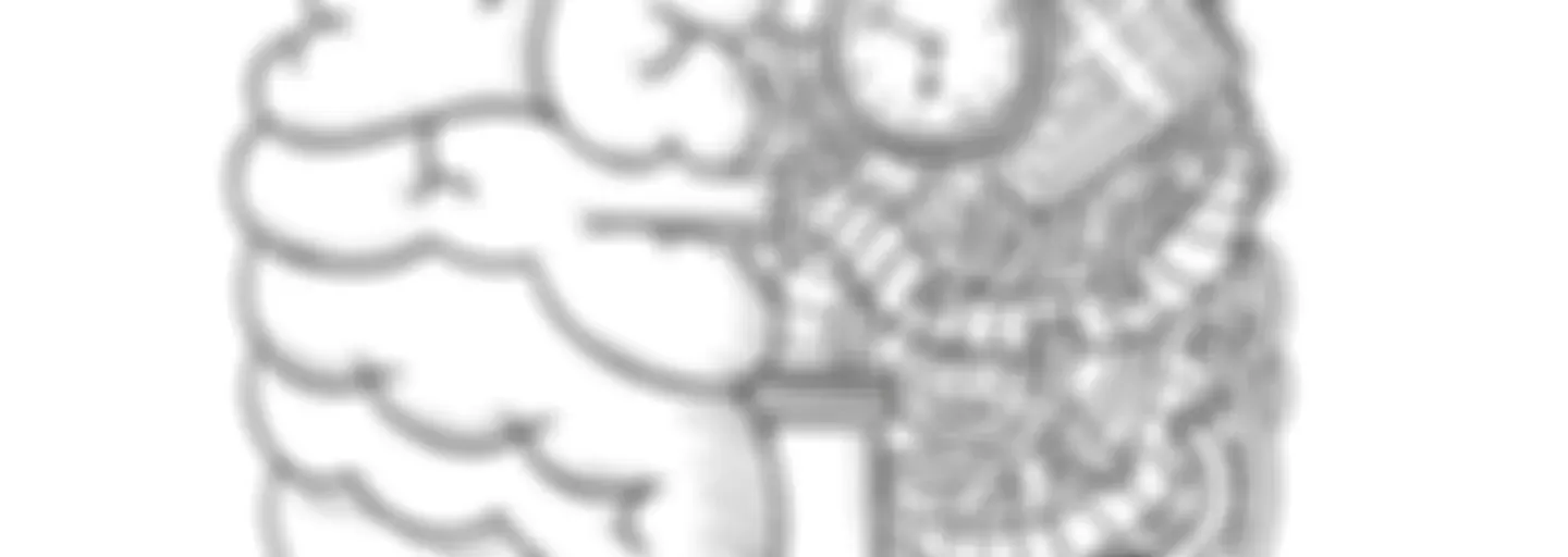 YKS Motivasyon Hattı | Online Koçunuz