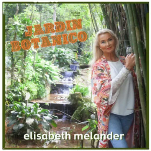 Cuando los elefantes sueñan con la música - Elisabeth Melander: adelanto - 01/04/26