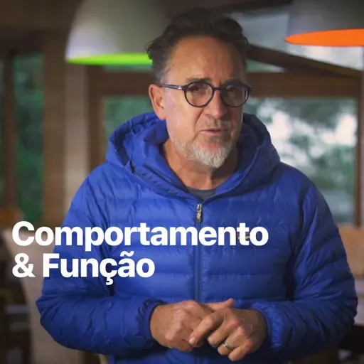 Comportamento & Função