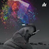 The Next Great Migration by Sonia Shah