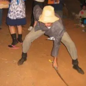 FORRO DO VEIO