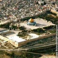 Are Jehovah's Witnesses Zionists?