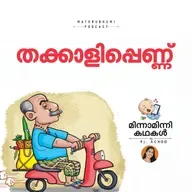  തക്കാളിപ്പെണ്ണ്  | മിന്നാമിന്നിക്കഥകള്‍  | Malayalam Bedtime stories Podcast