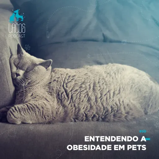 #50: Entendendo a Obesidade em Pets
