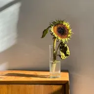 Viviendo entre la miseria espiritual