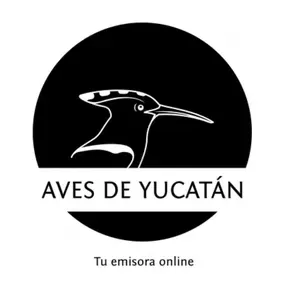 Aves de Yucatán