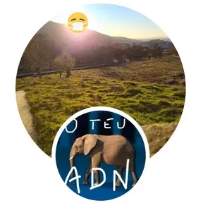 O teu ADN