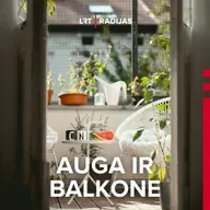 Miesto daržininkystės forumas: nuo balkono daržo iki bendruomeninės lysvės