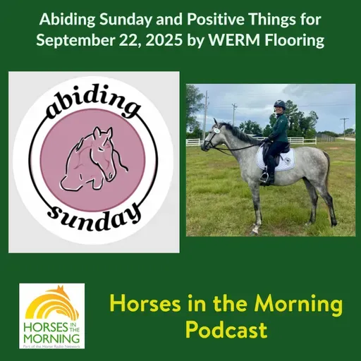 Abiding Sunday and Positive Things for September 22, 2025 by WERM Flooring