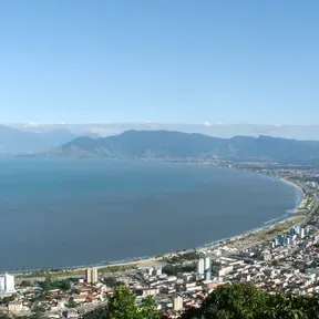 Oliveira Verdadeira