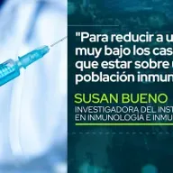 Dra. Susan Bueno: "Para reducir a un número muy bajo los casos, tiene que estar sobre un 75% la población inmunizada" 