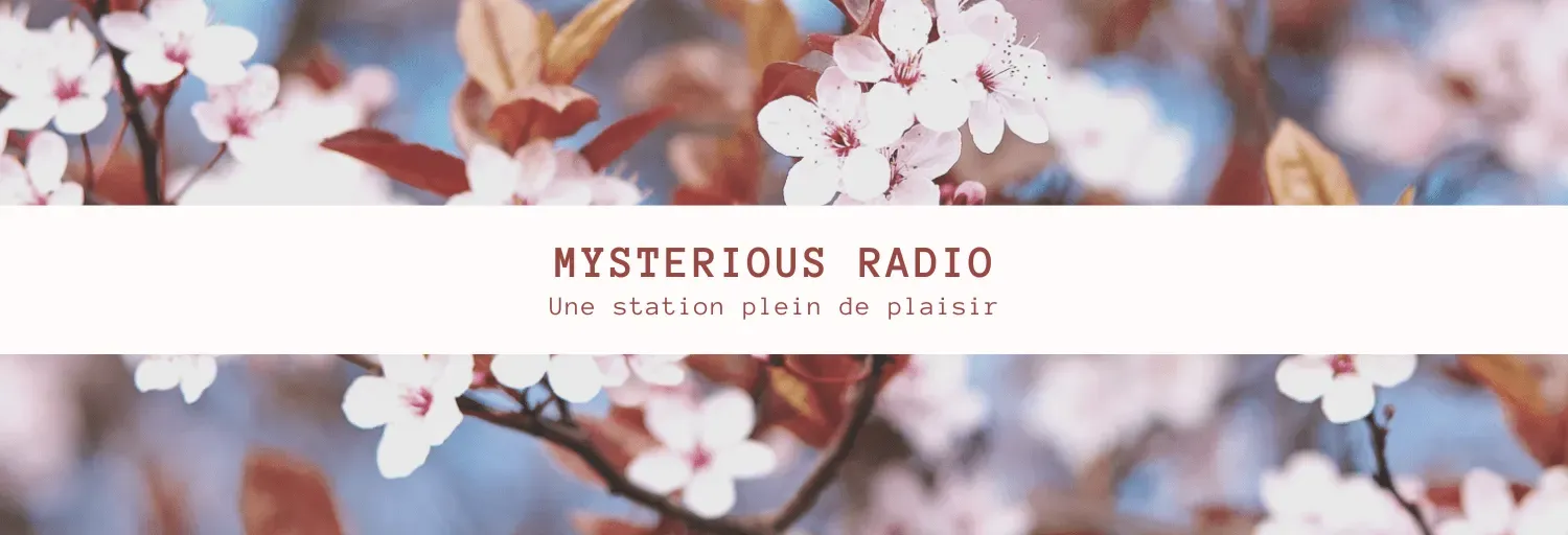 Mysterious Radio