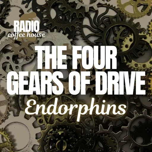 Divine Laughter: How Endorphins Connect Us to God's Plan for Joy