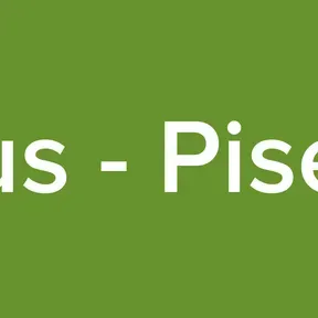 Klaus - Piseiro