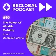 The Power of Wealth Mobility in an Unstable World  Description