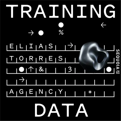 Why Businesses Are Rejecting the AI They’ve Asked For: Agency CEO Elias Torres