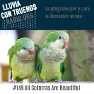 #149 All Cotorras Are Beautiful