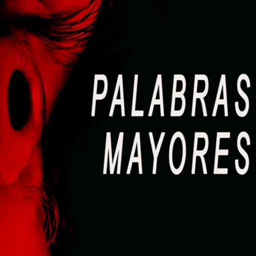 SOLDADO ISRAELI-SEGUNDA PARTE: CONFERENCIA
