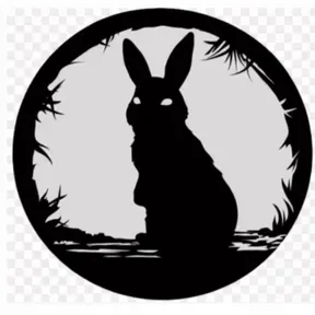 The Rabbit Hole