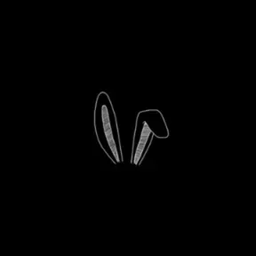 BunnyStation