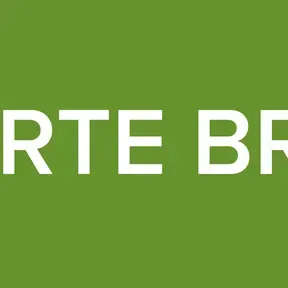 REPORTE BRION6