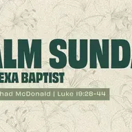 From Hosanna to the Cross