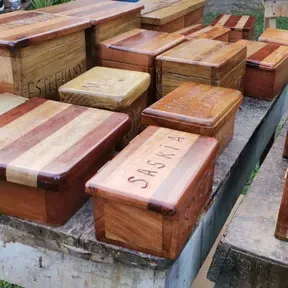 ECO FORESTAL DOS