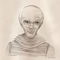 El Libro Amarillo de los EBENS: los verdaderos grises. Parte 1