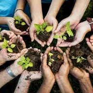 La ciudadanía ecológica: Más allá de las fronteras Estado -Nación 🌎Andrew Dobson