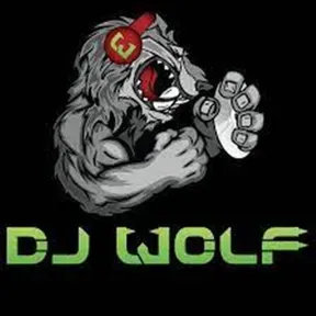 RADIO WOLF MIX