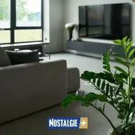 Télé-crochets : de Brassens à The Voice, 70 ans de talents révélés à la télévision