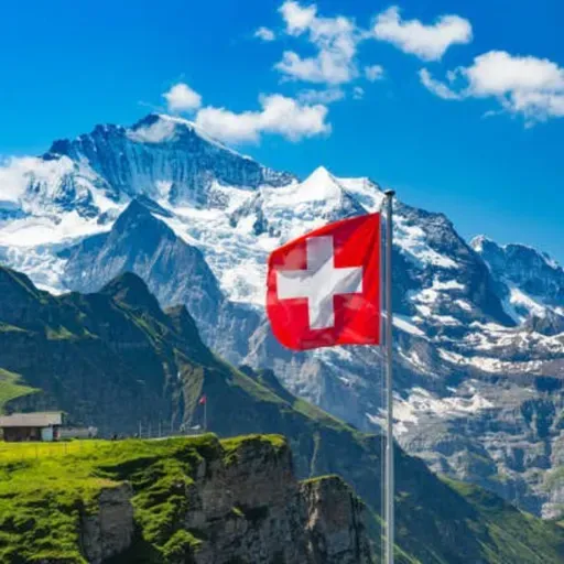 1. Primera parte Suiza 🇨🇭 Sistemas Políticos Comparados