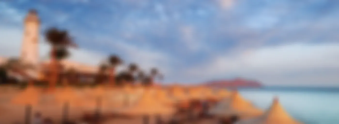 "اللغة الرئيسية المستخدمة في مصر (حسب ترتيب السكان: من رقم 1 إلى رقم 13) - "كلمات الحياة" ، "الأخبار السارة" ، "الأناشيد الإنجيلية