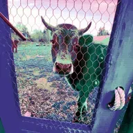 Eps XXIV Under Pressure