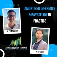 #157 Amortized Inference & BayesFlow in Practice, with Stefan Radev