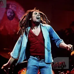 Radio CiTTy Reggae