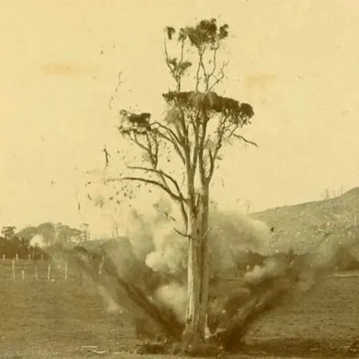 T2/5- Casos Estranhos: As Luas de Marte, Fantasma Vingativo, Bala na Cabeça e Cão e Seu Dono