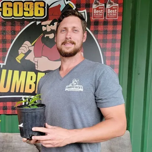 Tyler Schievelhud: Health - Business - and Lumberjack Stuff!