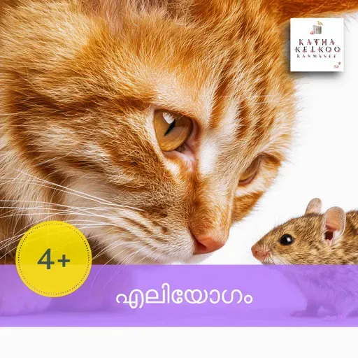 എലിയോഗം