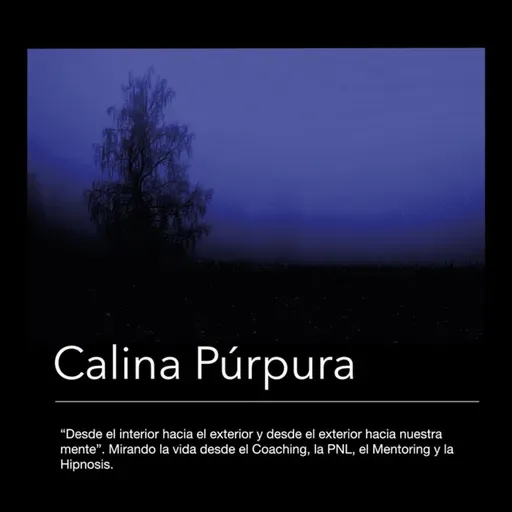 #126 Desde el interior hacia el exterior y desde el exterior hacia nuestra mente