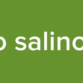 Radio salino web