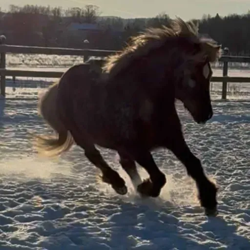 273 - Det startet så bra