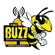 Melville's Rock Station, The Buzz! -