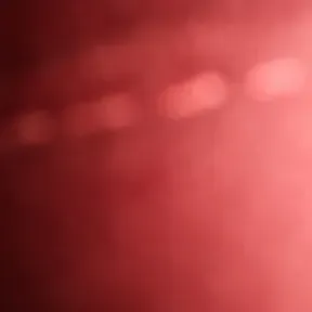 TUDIBAO