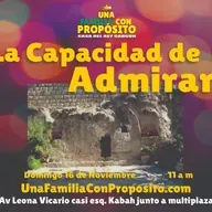 LA CAPACIDAD DE ADMIRAR | ENRIQUE ANGELES