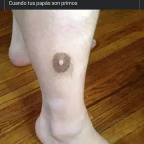 Ulisesksjkdkd