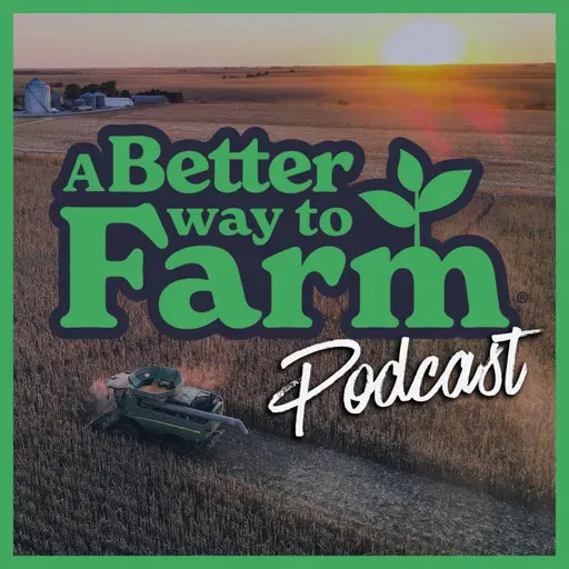 353: Grain Marketing Expert Reveals What to Do Before The Market Turns