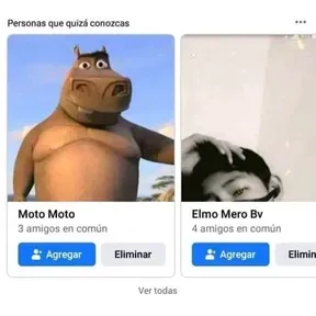 Xddddddddd