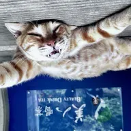 FOREVER 25: ON ! Voyage durch Neustockland - "The Lost Hours"